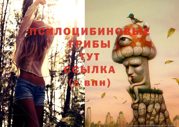 соль ск Горнозаводск