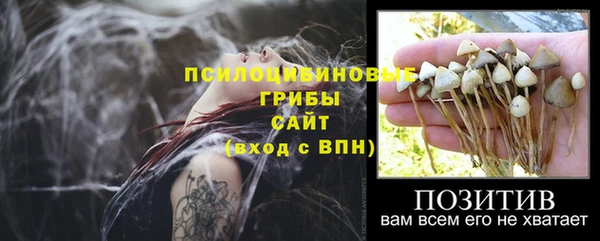 соль ск Горнозаводск