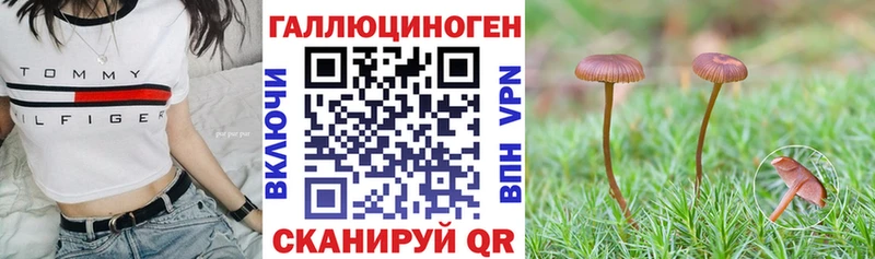 Галлюциногенные грибы Magic Shrooms  где можно купить наркотик  Серпухов 